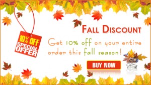 fall-discount