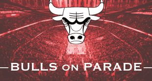 Bulls on Parade